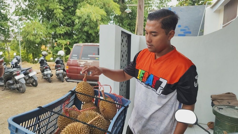 Honorer di Jember Dirumahkan, Banting Setir Jualan Durian Untuk Sambung Hidup
