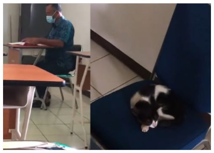 Unik dan Mengharukan, Seorang Dosen Rela Beri Kursinya untuk Kucing Tidur dan Pilih Duduk di Kursi Mahasiswa