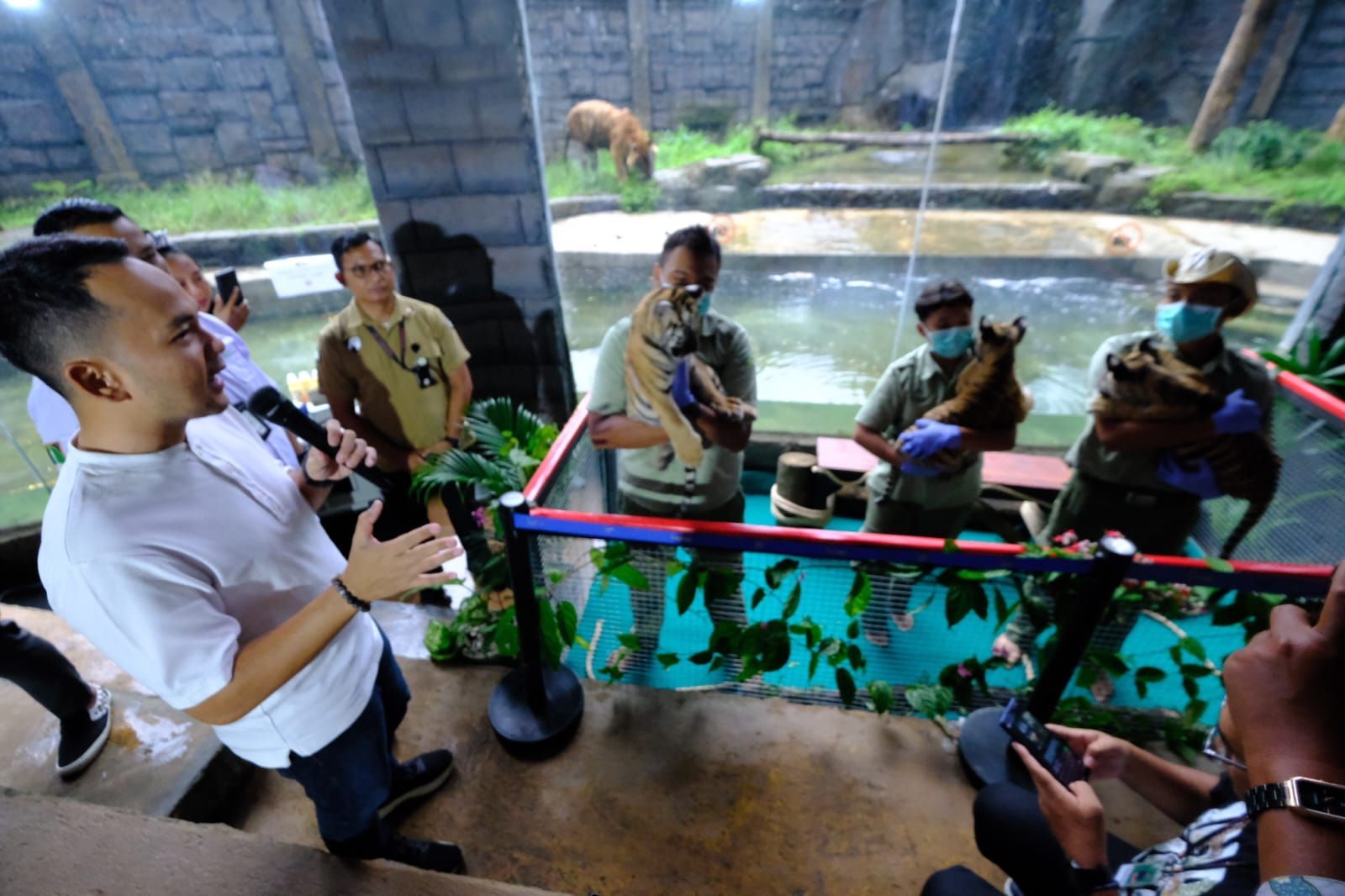 Wali Kota Solo Beri Nama 3 Bayi Harimau Benggala, Apresiasi Animal Keepers yang Tetap Kera di Libur Lebaran