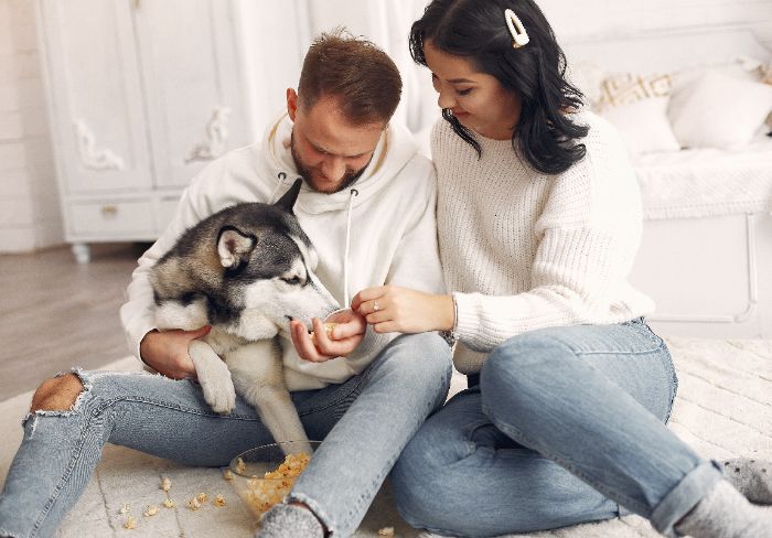 Pelihara Hewan Bareng Pacar? Pertimbangin Dulu, Biar Nggak Nyiksa Hewan Pas Putus!