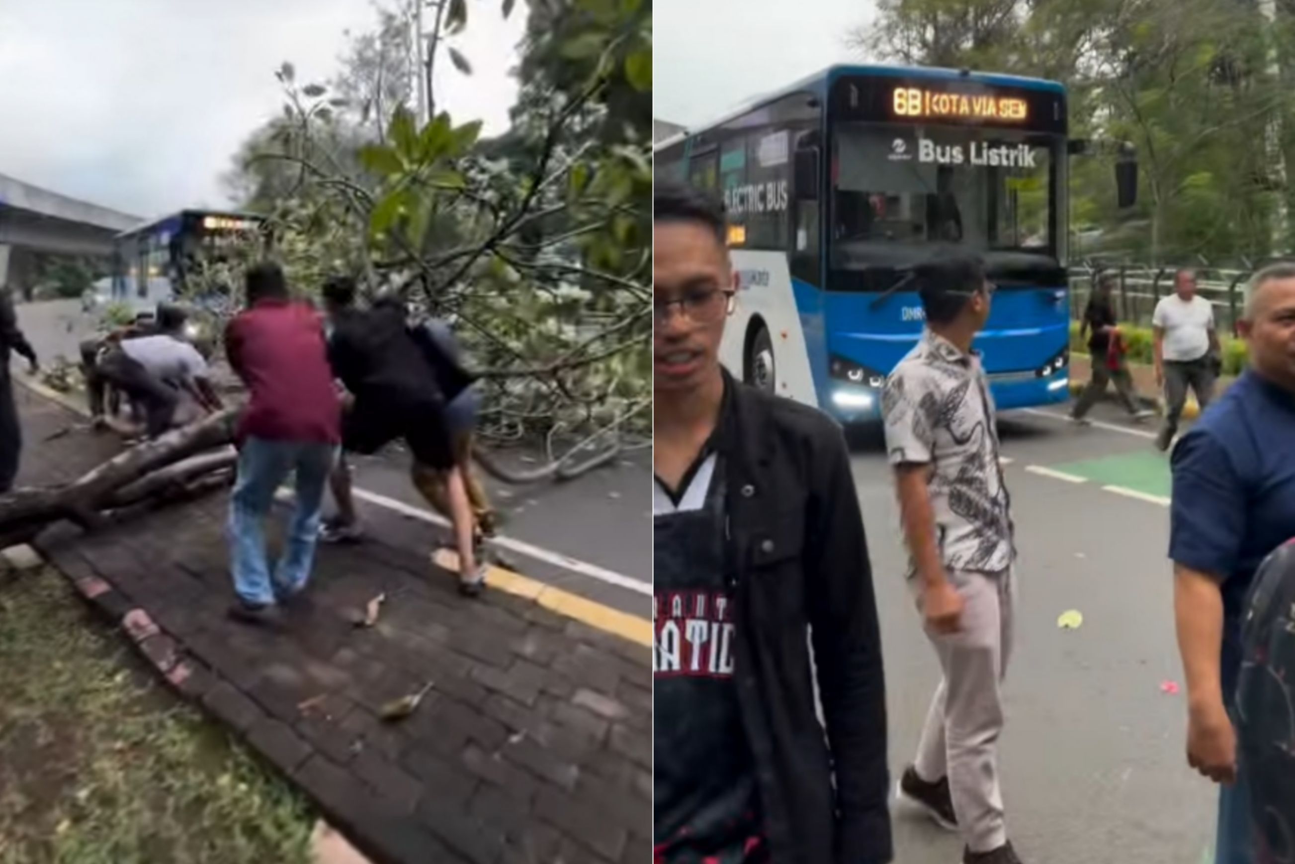 Warga, Sopir, dan Penumpang TransJakarta Bahu-Membahu Angkat Pohon Tumbang