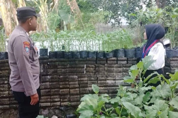 Polresta Banyuwangi dan Kelompok Tani Wanita Gencarkan Pemanfaatan Lahan Rumah untuk Ketahanan Pangan