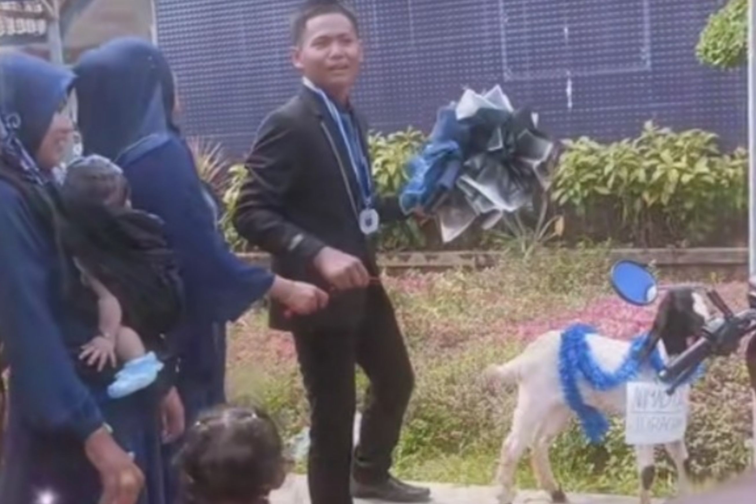 Viral, Momen Kocak Siswa di Sumenep Dapat Hadiah Kambing dari Temannya di Hari Kelulusan