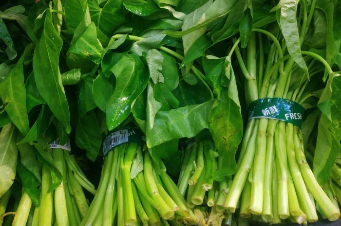 Bongkar Mitos Konsumsi Kangkung Bikin Ngantuk: Tak Ada Bukti Ilmiah yang Mendukung