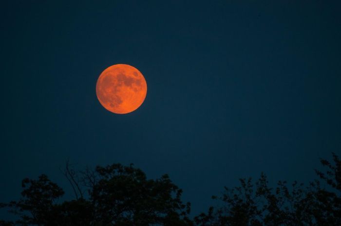 Siap-siap! Dua Supermoon Langka Akan Muncul Agustus Ini, Hanya Terjadi 3 Tahun Sekali