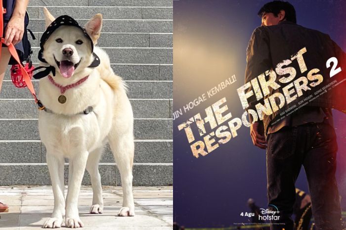 Sederet Fakta Anjing Jindo, Hidup Ribuan Tahun hingga Jadi Julukan Jin Ho Gae di 'The First Responders 2'