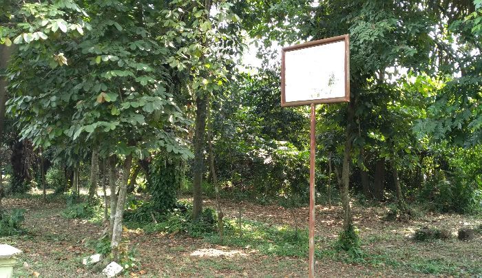 Kisah Mistis Hutan Kota Depok, Pengunjung Bisa Hilang Misterius Jika Masuk ke Dalamnya