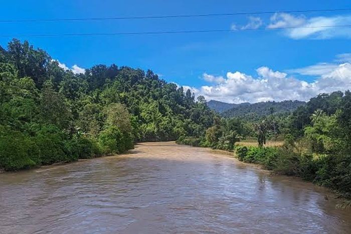 Misteri Hutan Karama di Desa Labbo: Keramat yang Menyimpan Rahasia