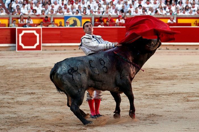 Mengungkap Misteri 'Plaza de Toros: Tarian Keberanian dalam Adu Banteng Spanyol