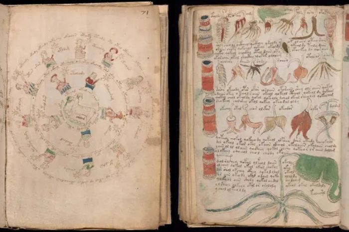 10 Fakta Menarik Tentang Voynich, Manuskrip Paling Misterius di Dunia yang Belum Terpecahkan hingga Kini