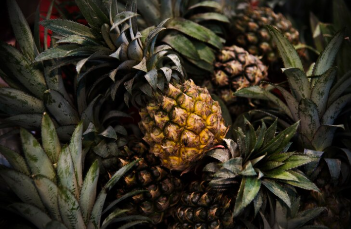 Filosofi Buah Nanas: Dari Simbol Kekayaan hingga Lambang Keramahtamahan