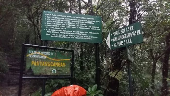 Misteri Simpang Maleber: Gerbang Menuju Alam Gaib di Gunung Gede Pangrango