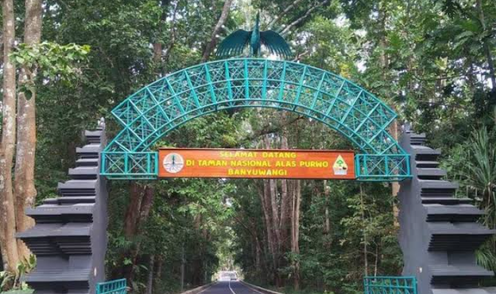 Misteri Alas Purwo Banyuwangi, Mengungkap Kisah-Kisah Legendaris di Hutan Tertua Pulau Jawa