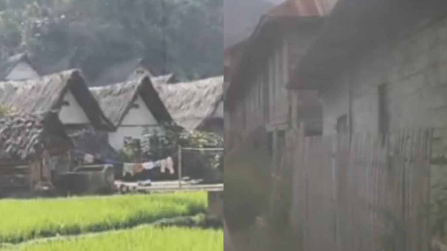 Misteri Dusun Karang Kenek di Situbondo, Benarkah Angker karena Kutukan?