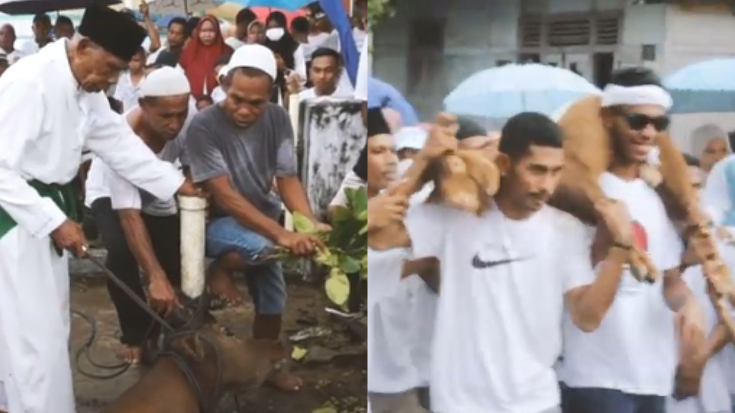 Arak-Arakan Lawa Pipi, Tradisi Unik Idul Adha di Maluku Tengah