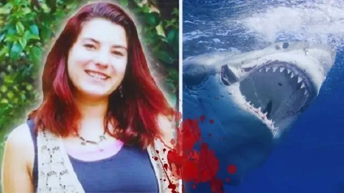 Misteri Kasus Michelle Von Emster, Antara Mati Dimangsa Hiu, Bunuh Diri atau Terbunuh