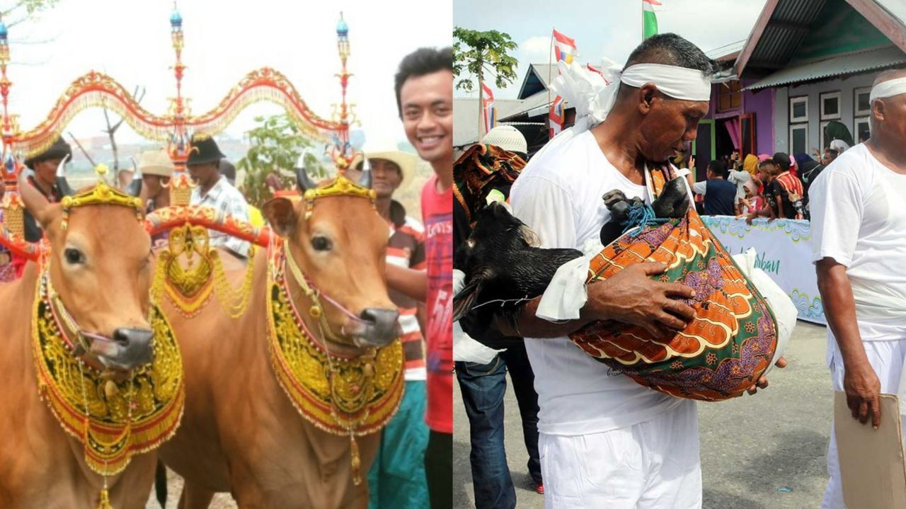Tradisi Unik Idul Adha di Berbagai Daerah di Indonesia: Yuk, Jelajahi Kekayaan Budaya!