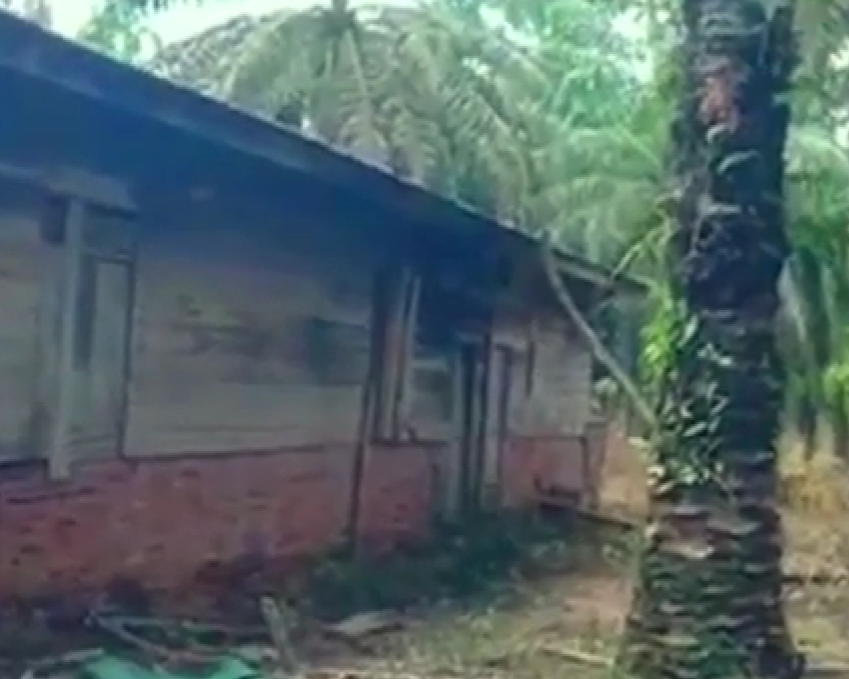 Desa Perkebunan Alur Jambu di Aceh  Konon Ditinggalkan karena Gangguan Makhluk Atral Setiap Hari dan Penyakit Aneh