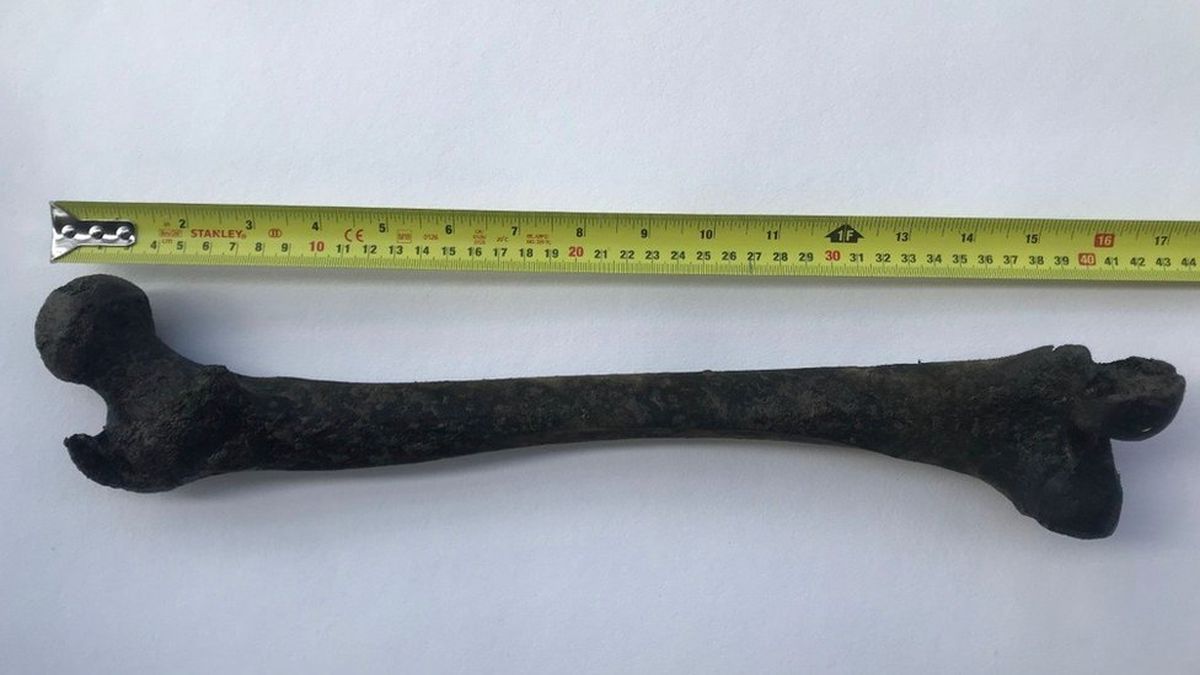 Pendayung Temukan Tulang Manusia Berusia 5000 Tahun di Sungai Thames London,Lebih Tua dari Stonehenge dan Mesir Kuno
