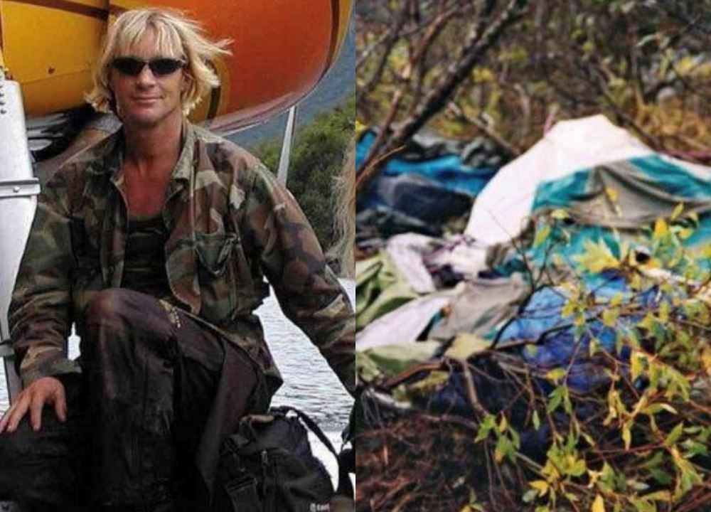 Ironi Timothy Treadwell, Pelindung Beruang yang Justru Tewas Mengenaskan oleh Hewan yang Dilindungi