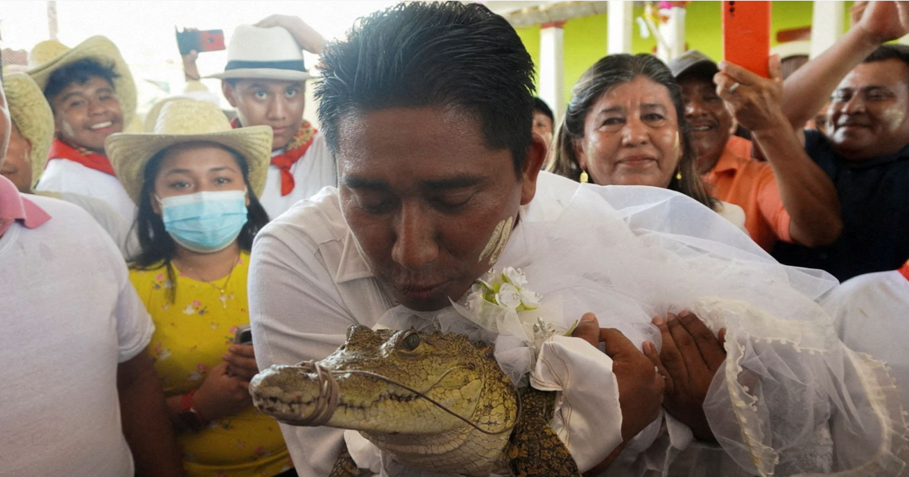 Cerita Walikota di Meksiko Menikahi Seekor Buaya dan Gelar Pesta, Diyakini Bawa Keberuntungan 