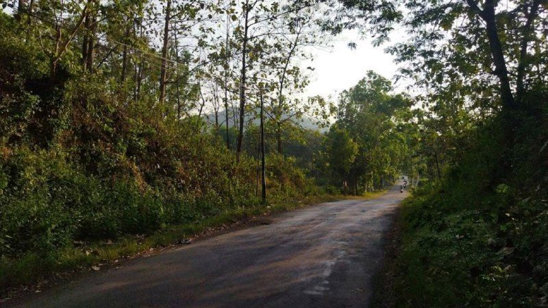 Gunung Pegat Ponorogo: Keangkeran dan Mitos Pengantin yang Selalu Cerai Jika Melintas