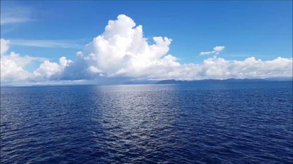 5 Ikan yang Wajib Kamu Diwaspadai saat Berenang di Laut! Apa Saja Ya?