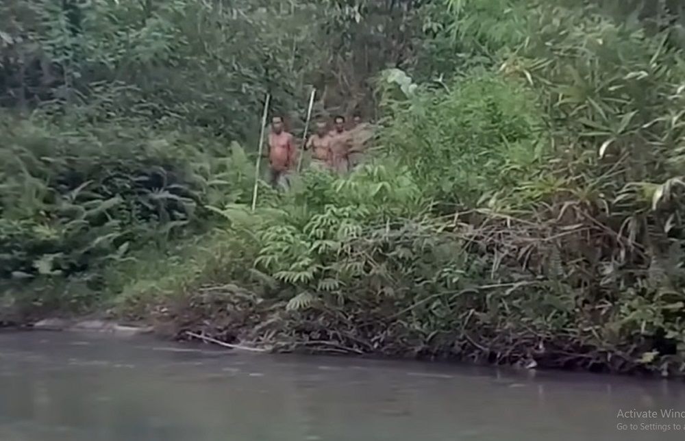 Fakta dan Agama Suku Togutil, Warga Halmahera Timur yang Nomaden: Benarkah Kanibal dan Tinggal di Hutan?