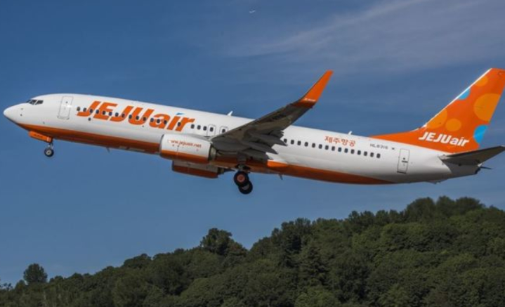 Fakta Miris Korban Selamat Jeju Air: Dituduh Egois, Dipaksa Bunuh Diri sebagai Kompensasi