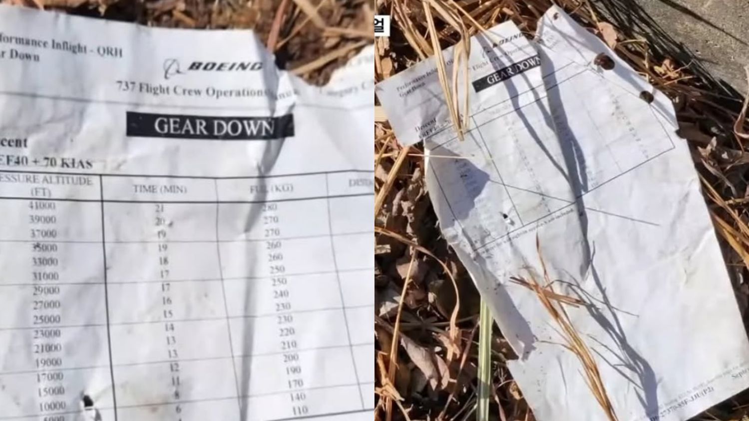 Kisah Tragis Robekan dari Manual Pesawat 737, Bukti Perjuangan Pilot dan Co-Pilot hingga Akhir