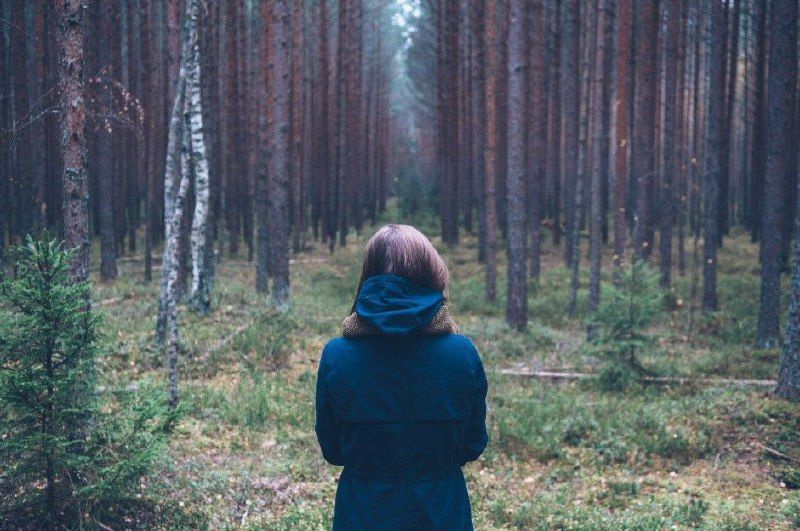 5 Arti Mimpi Berada di Hutan Menurut Primbon Jawa, Pertanda Apa?