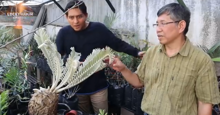 Lucky Hakim Ungkap Tanaman Unik dan Langka: Harganya Lebih Mahal dari Emas!