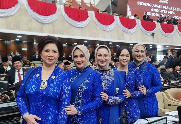 Daftar Lengkap 26 Selebritis Anggota DPR-DPD RI 2024-2029, Mulai Penyanyi hingga Komedian