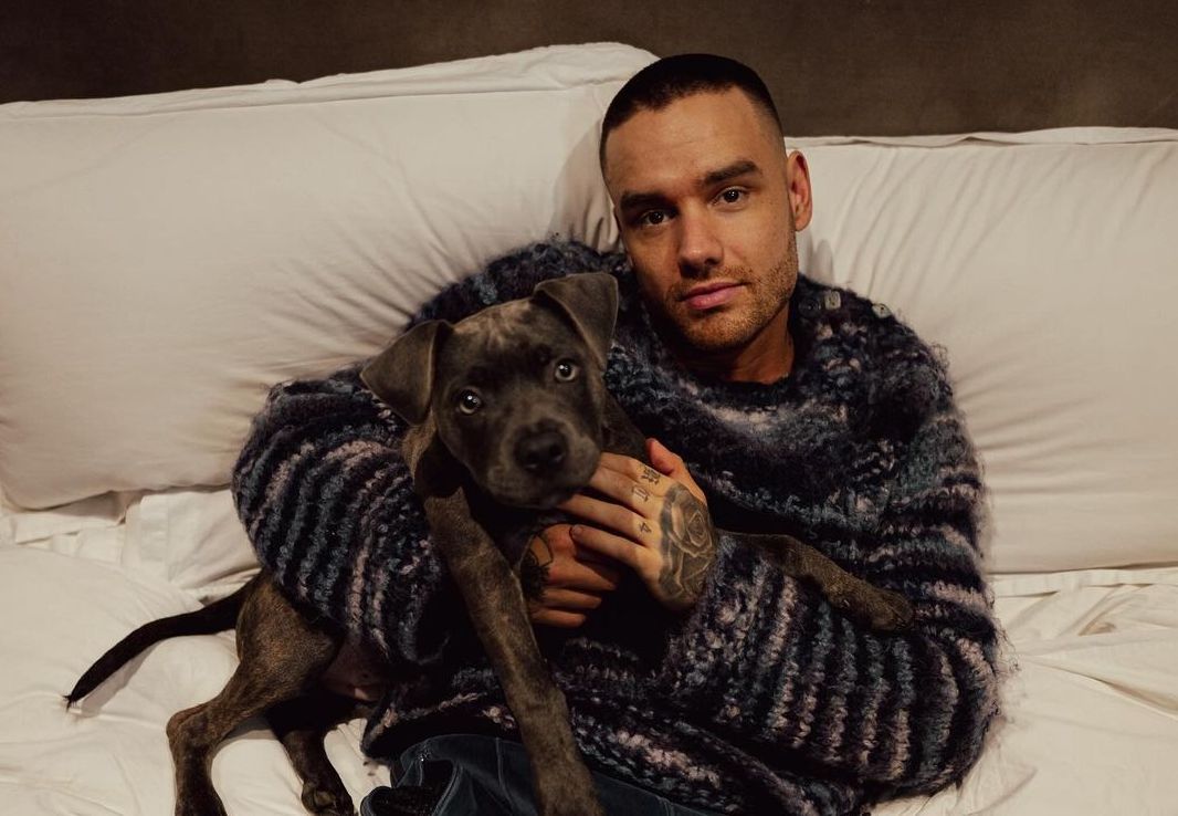 Kabar Duka, Liam Payne Mantan One Direction Meninggal Dunia Usai Jatuh dari  Hotel