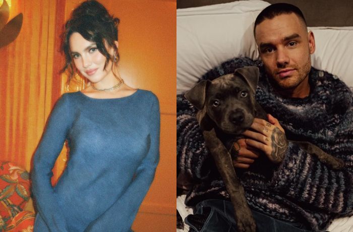 Fiksi Jadi Nyata! Maya Henry Tulis Tragedi Mirip dengan Kematian Liam Payne di Novelnya 