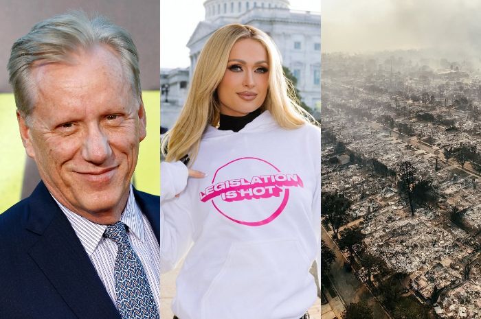 10 Rumah Selebriti Hollywood Hangus Akibat Kebakaran Los Angeles, Ada James Woods hingga Paris Hilton