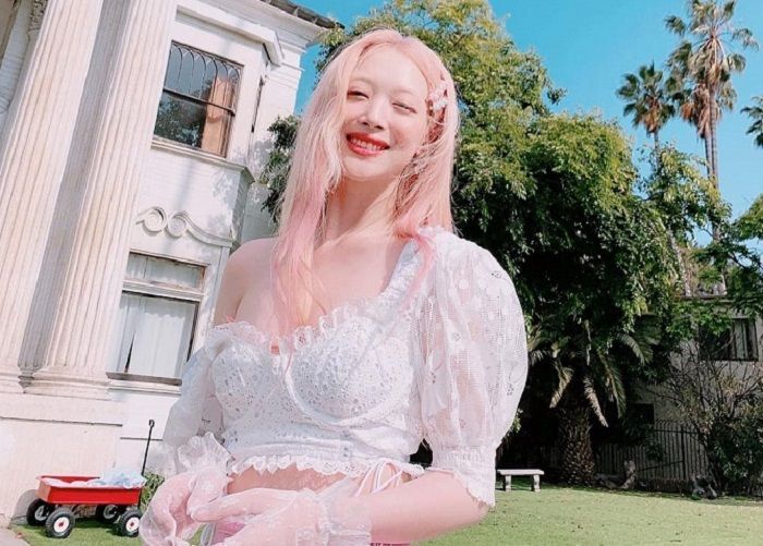 Film Dokumenter Mendiang Sulli 'Dear Jinri', Tayang Perdana di Busan International Film Festival 2023