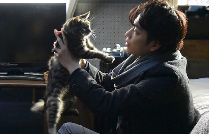 Review Film If Cats Disappeared from the World (2016), Relakah Kehilangan Kenangan Demi Hindari Kematian?