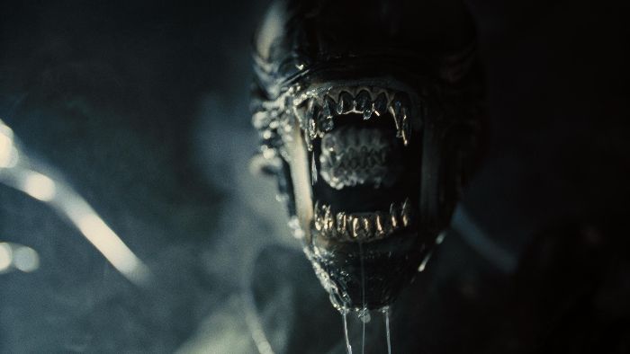 5 Film Horor Luar Angkasa yang Wajib Ditonton Penggemar Alien: Romulus