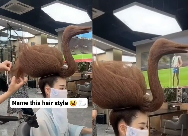 Kreasi Rambut Model Angsa: Gaya Tren yang Bikin Netizen Geleng-geleng, Berani Coba?