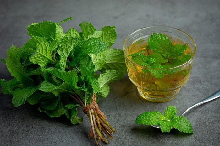 Manfaat Daun Mint untuk Kesehatan Rambut, Luar Biasa!