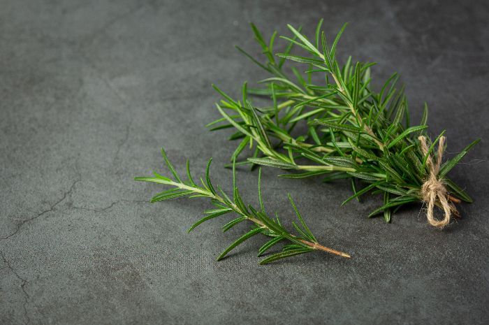 Manfaat Rosemary Oil sebagai Perawatan Rambut