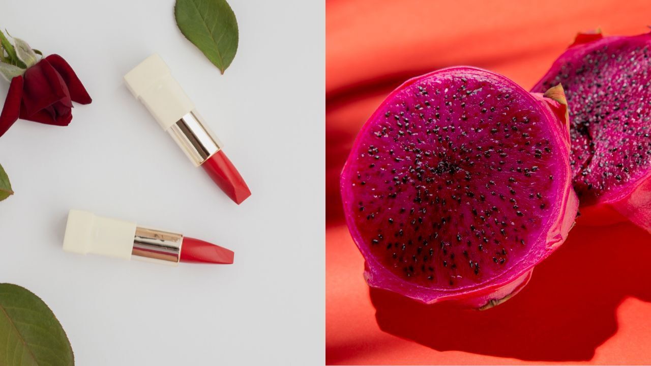 Cara Membuat Lipstik Merah Alami dengan Buah Naga di Rumah