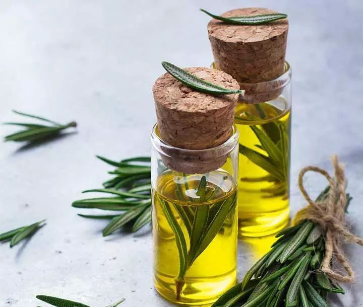 Kemiri atau Rosemary? Ini Produk Paling Ampuh untuk Tumbuhkan Rambut