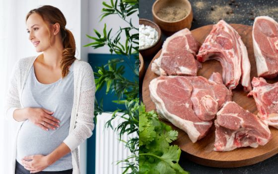 Kemenkes Sarankan Wanita Hamil Tidak Konsumsi Daging Kambing Berlebih saat Idul Adha