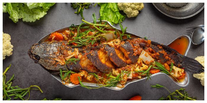 Heboh Ikan Lele Mengandung Ribuan Sel Kanker, Cek Faktanya di Sini!