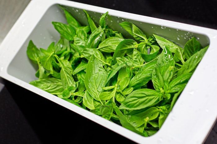 6 Manfaat Daun Kemangi untuk Kesehatan, Bisa Atasi Asam Lambung!
