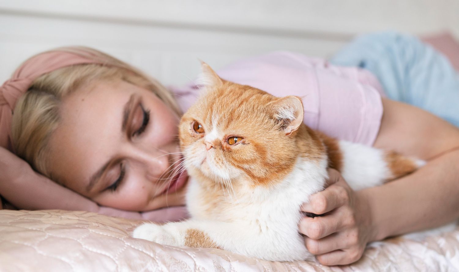 Apakah Aman Tidur Bersama Kucing? Begini Penjelasan Dokter