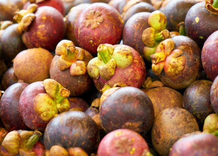 7 Manfaat Luar Biasa dari Buah Manggis: Manisnya Malah Menyehatkan