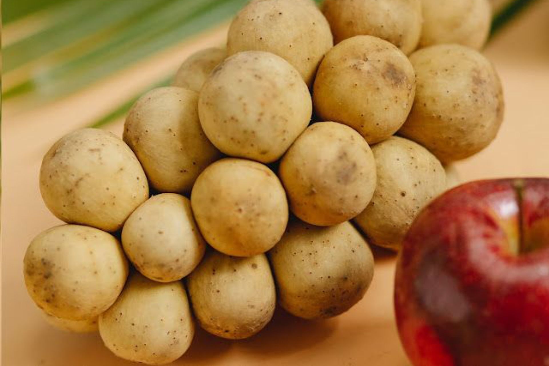6 Manfaat Buah Langsat untuk Kesehatan, Bisa Bikin Kulit Bersinar!